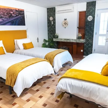 Douro Garden And Rooftop 1 別荘 *